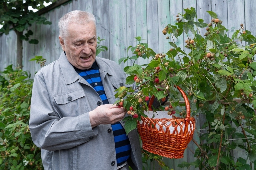 Владимир Жириновский