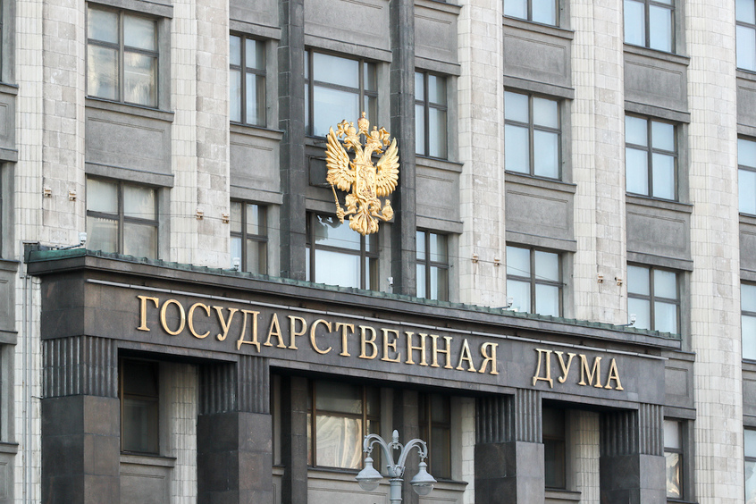 Депутат оценила идею заменить материнский капитал выплатами МРОТ