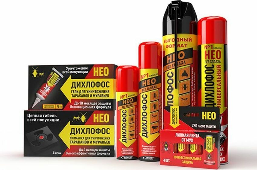 Как спастись от насекомых летом на даче?