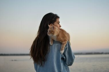 Если у вас есть аллергия на домашних животных, но хочется завести кота: советы профессионала