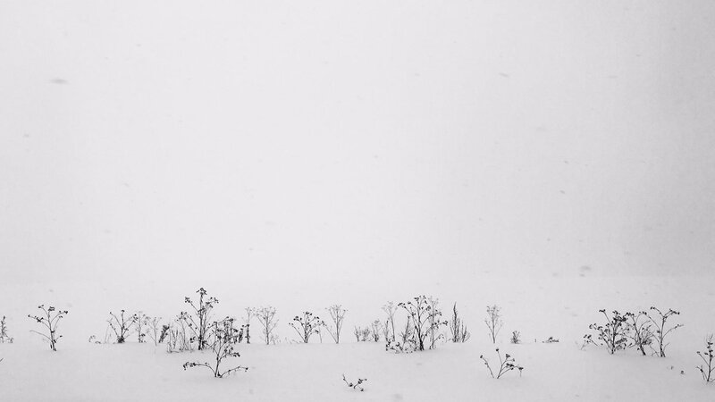 По дороге в Ижевск