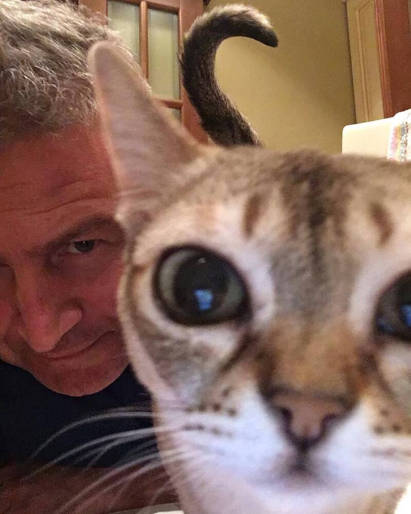 Леонид Агутин с кошкой
