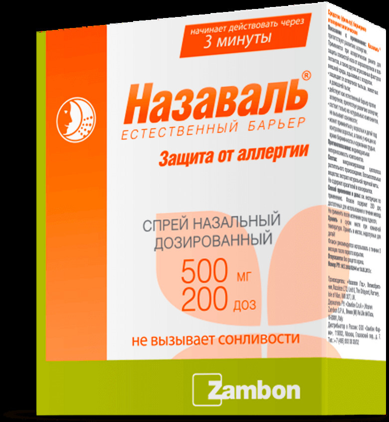 Основные правила путешествия с детьми
