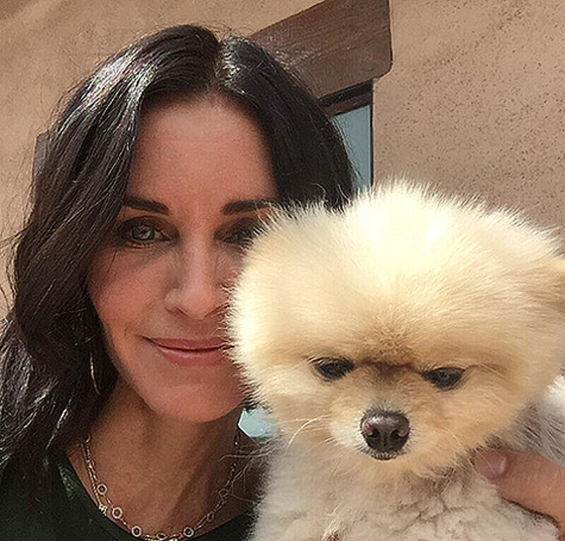 Кортни Кокс. Фото: Twitter.com/@CourteneyCox.