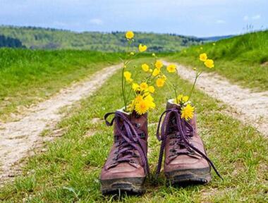 Чем теплее солнце, тем чуднее мысли и поступки окружающих. Фото: Fotolia/PhotoXPress.ru.