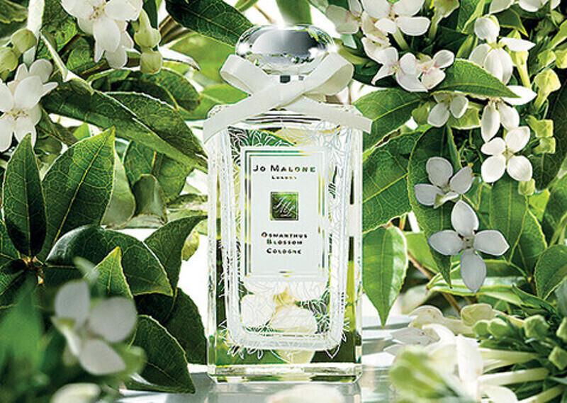 Osmanthus Blossom от Jo Malone. Фото: материалы пресс-служб.