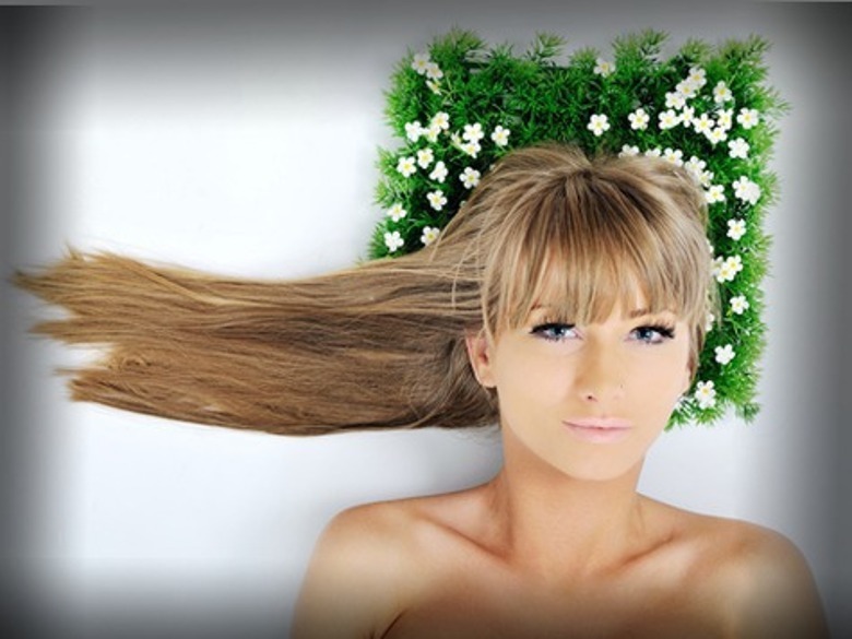 Фото: Fotolia/PhotoXPress.ru